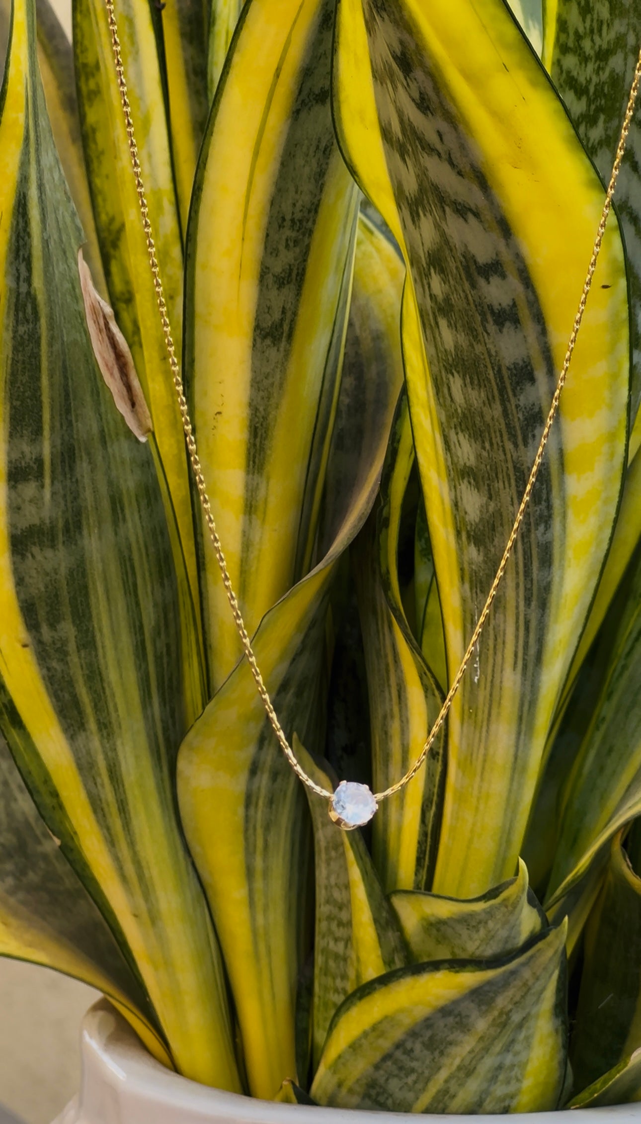 Gleam Necklace
