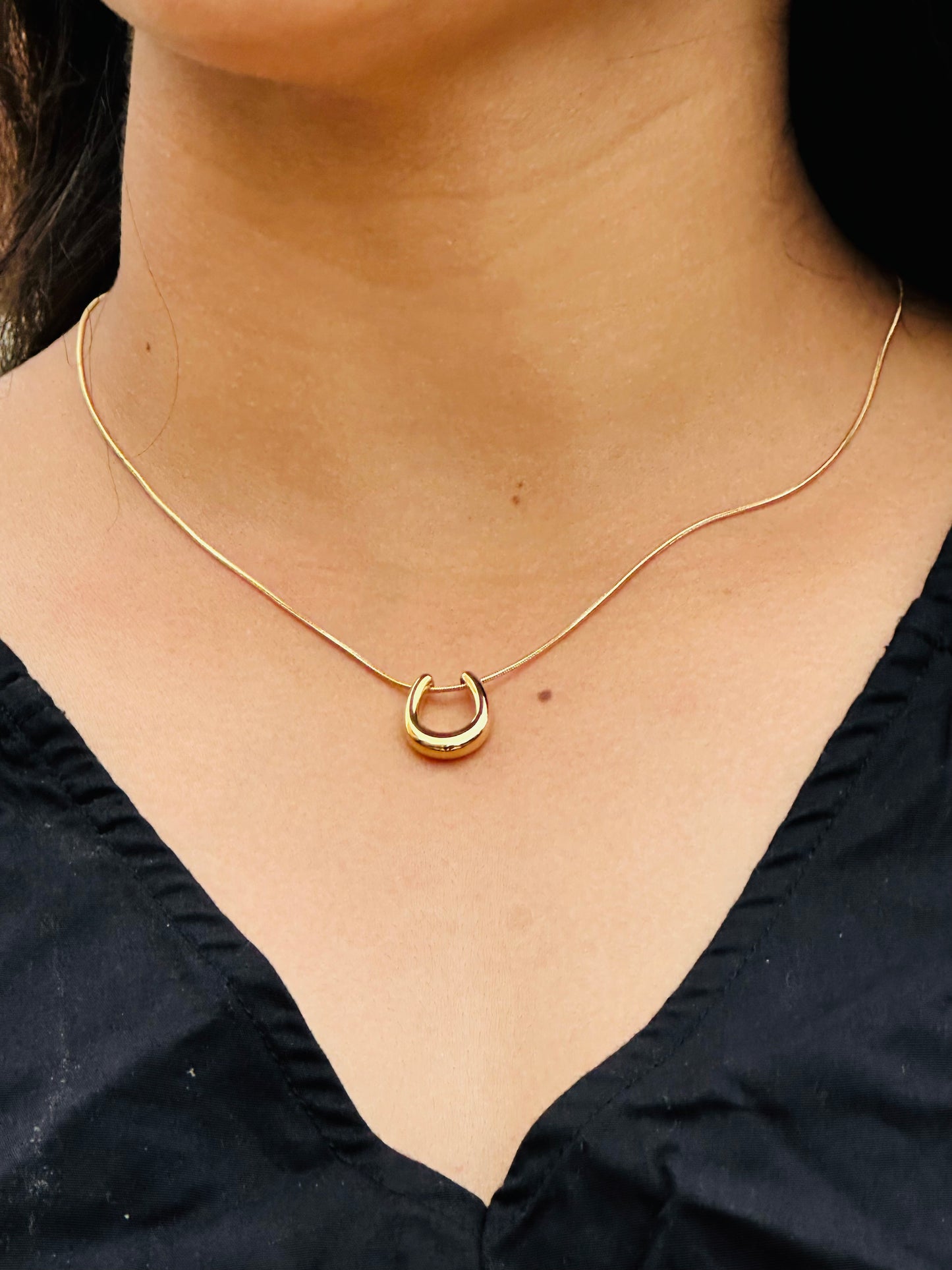 Horse Shoe Necklace